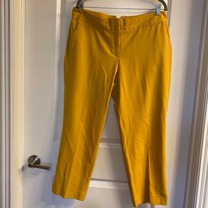 Mustard colored, size 14, ankle slacks.